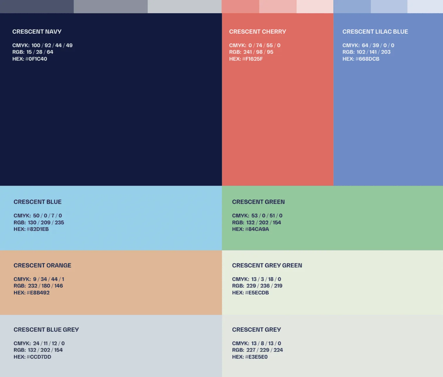 Brand color specifications with HEX values for brand identity design.