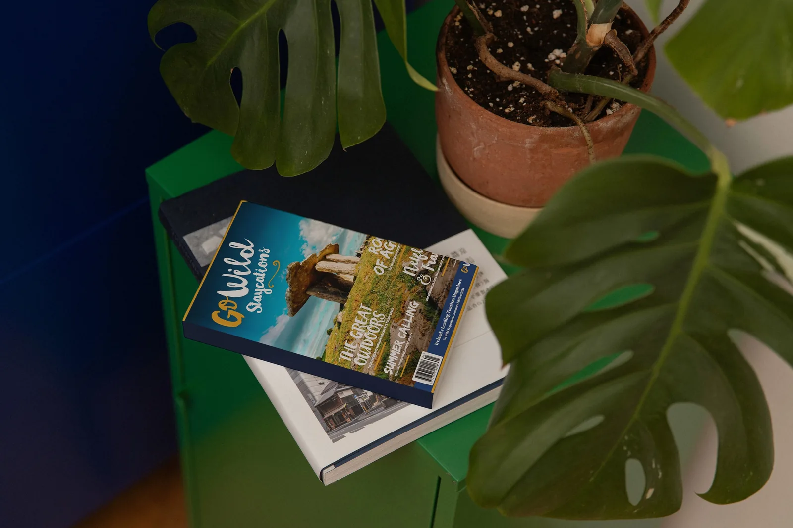 Go Wild Staycations magazine for website design project inspiration.