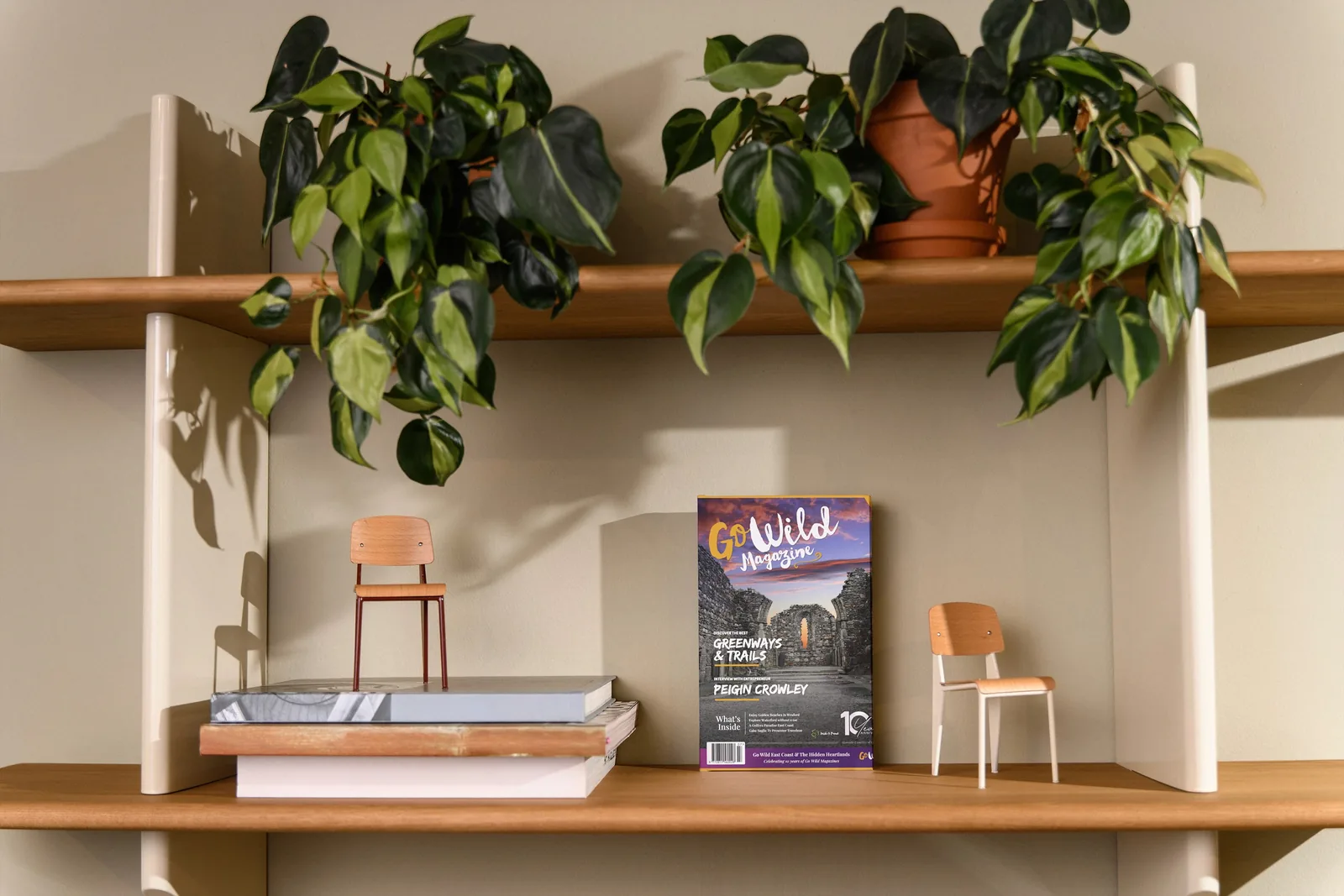 Office shelves with plants, books, and Go Wild Magazine for Graphic House.